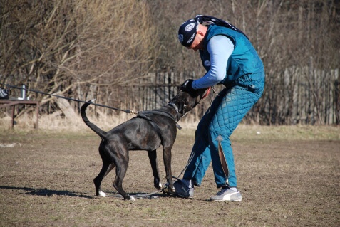 Training in Estonia 30.3 - 1.4. 2007